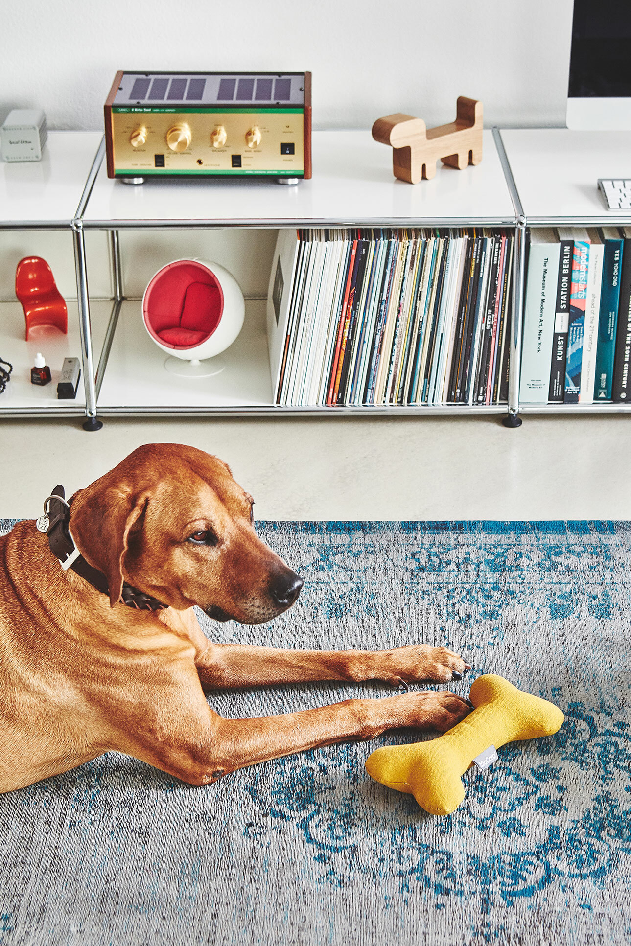 德國MiaCara Stella黃色骨頭玩具