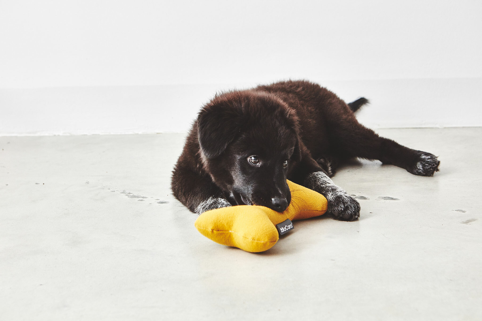 德國MiaCara Stella黃色骨頭玩具