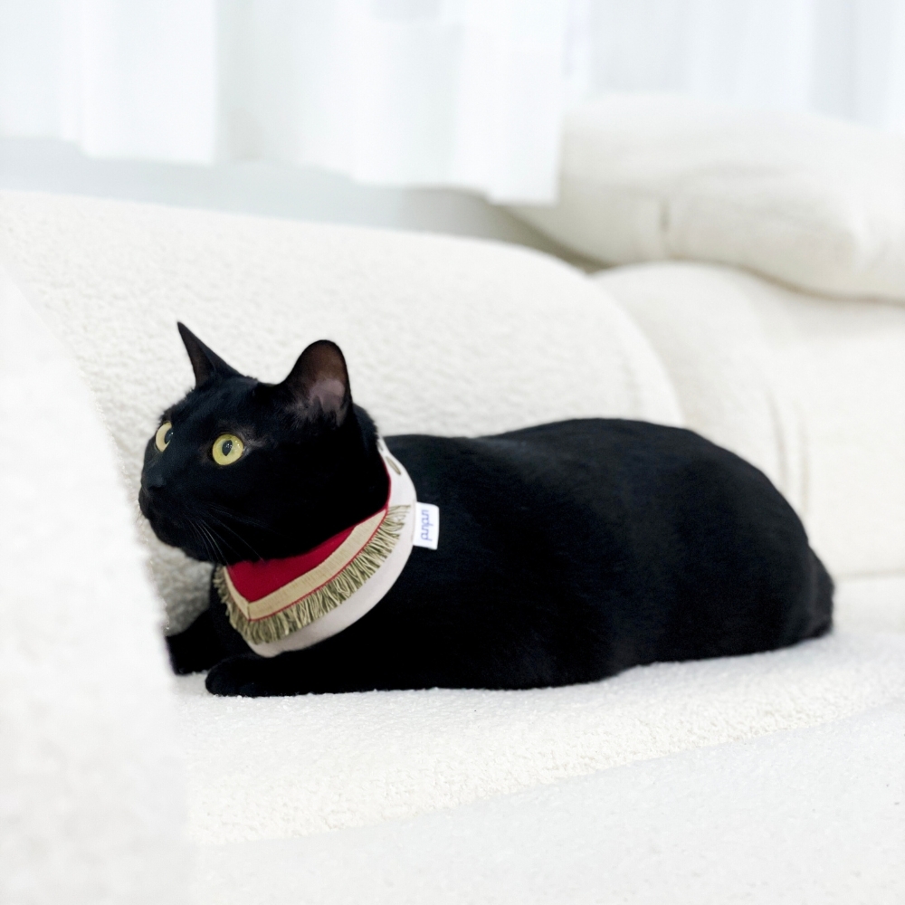 寵物領巾, 貓咪領巾, 狗狗領巾, 寵物配飾, 寵物服飾