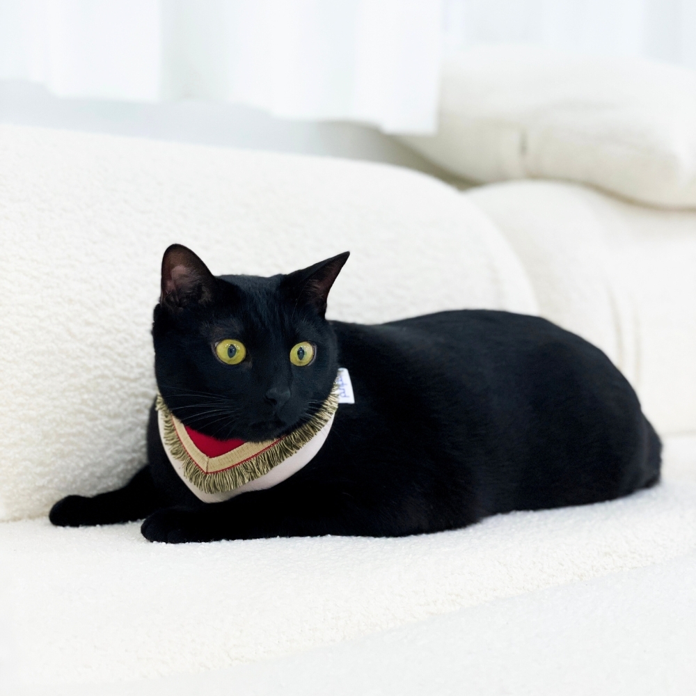 寵物領巾, 貓咪領巾, 狗狗領巾, 寵物配飾, 寵物服飾