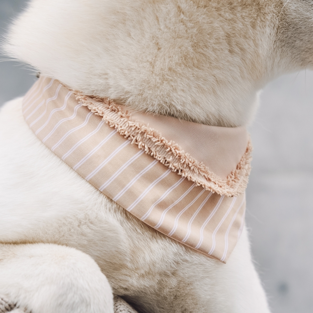 寵物領巾, 貓咪領巾, 狗狗領巾, 寵物配飾, 寵物服飾