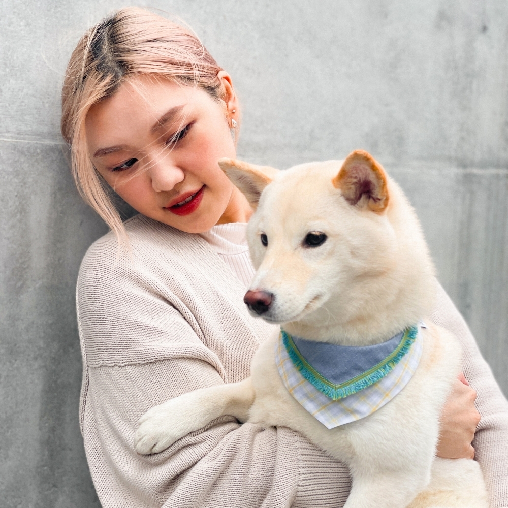 寵物領巾, 貓咪領巾, 狗狗領巾, 寵物配飾, 寵物服飾