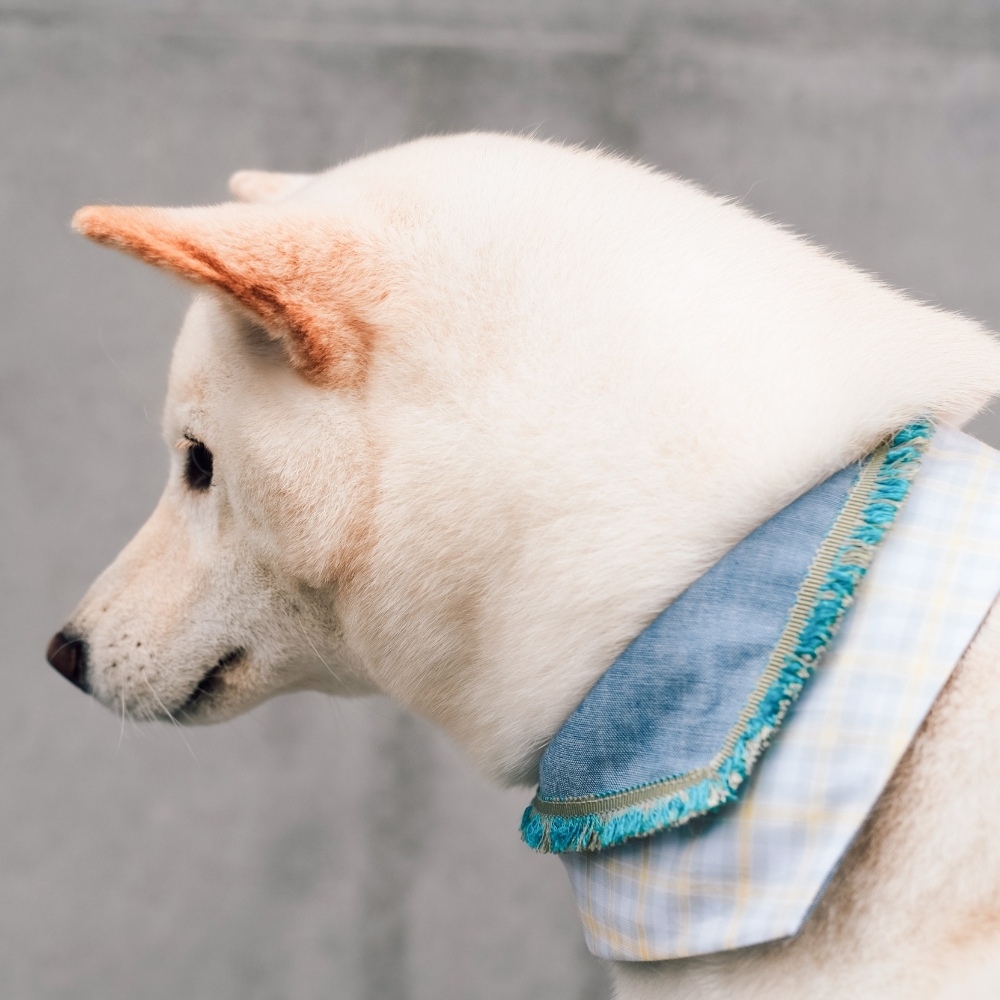 寵物領巾, 貓咪領巾, 狗狗領巾, 寵物配飾, 寵物服飾