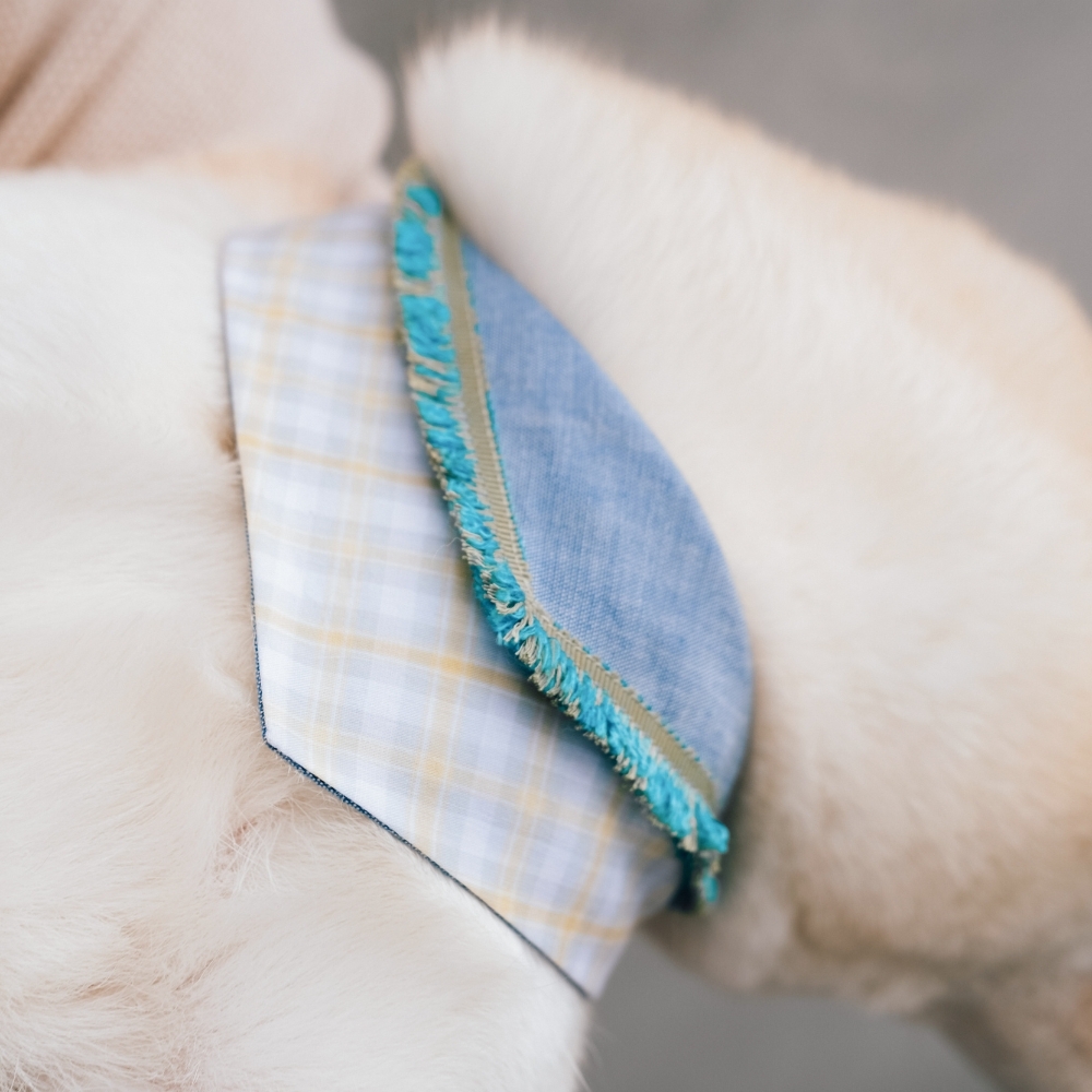 寵物領巾, 貓咪領巾, 狗狗領巾, 寵物配飾, 寵物服飾