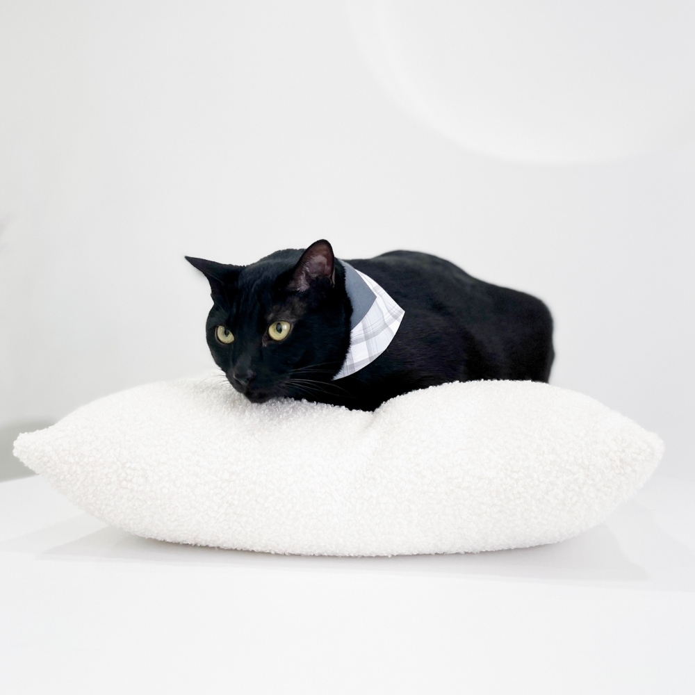 寵物領巾, 貓咪領巾, 狗狗領巾, 寵物配飾, 寵物服飾