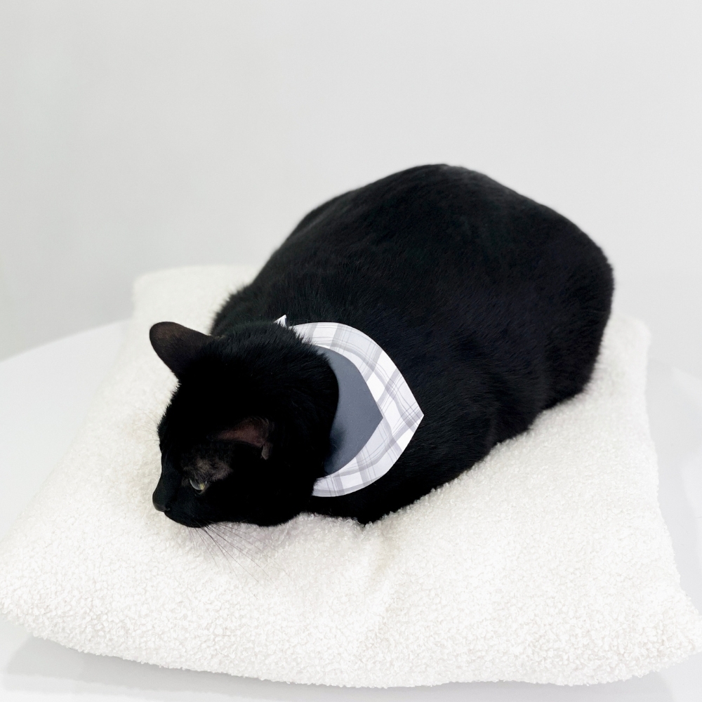 寵物領巾, 貓咪領巾, 狗狗領巾, 寵物配飾, 寵物服飾