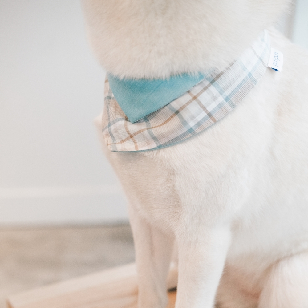 寵物領巾, 貓咪領巾, 狗狗領巾, 寵物配飾, 寵物服飾