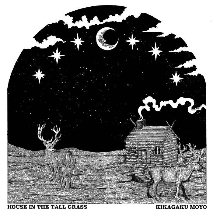 Kikagaku Moyo 幾何学模様《House in the Tall Grass》（LP）