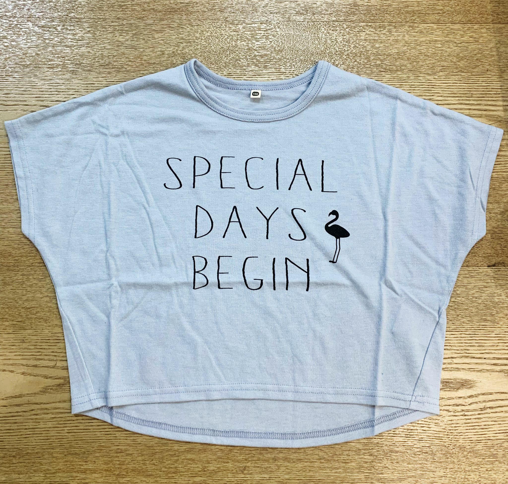 清貨優惠 短袖Tee 100碼