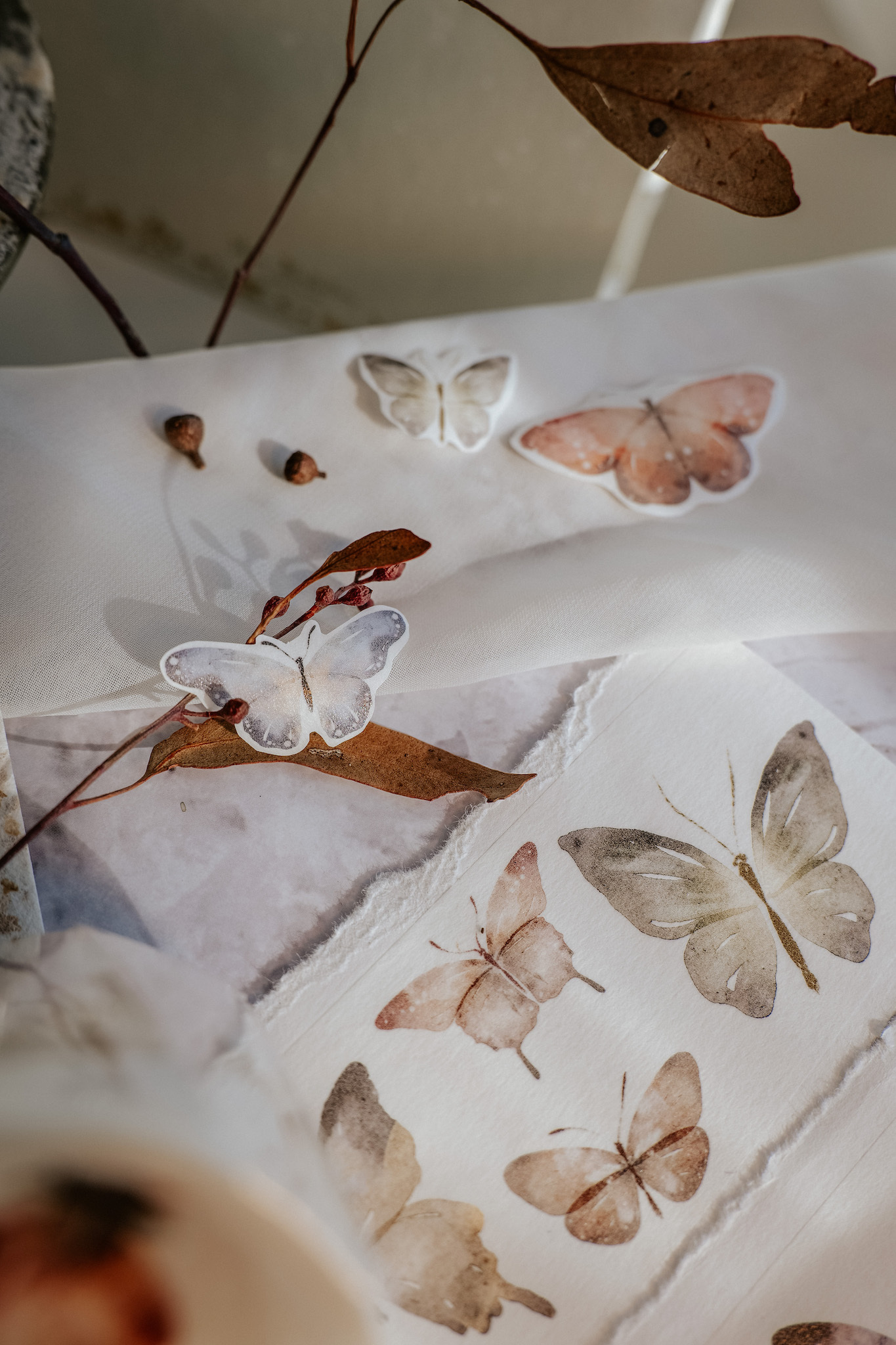 Meow Illustration．彩斑羽蝶 5cm和紙紙膠帶 <整捲/分裝>