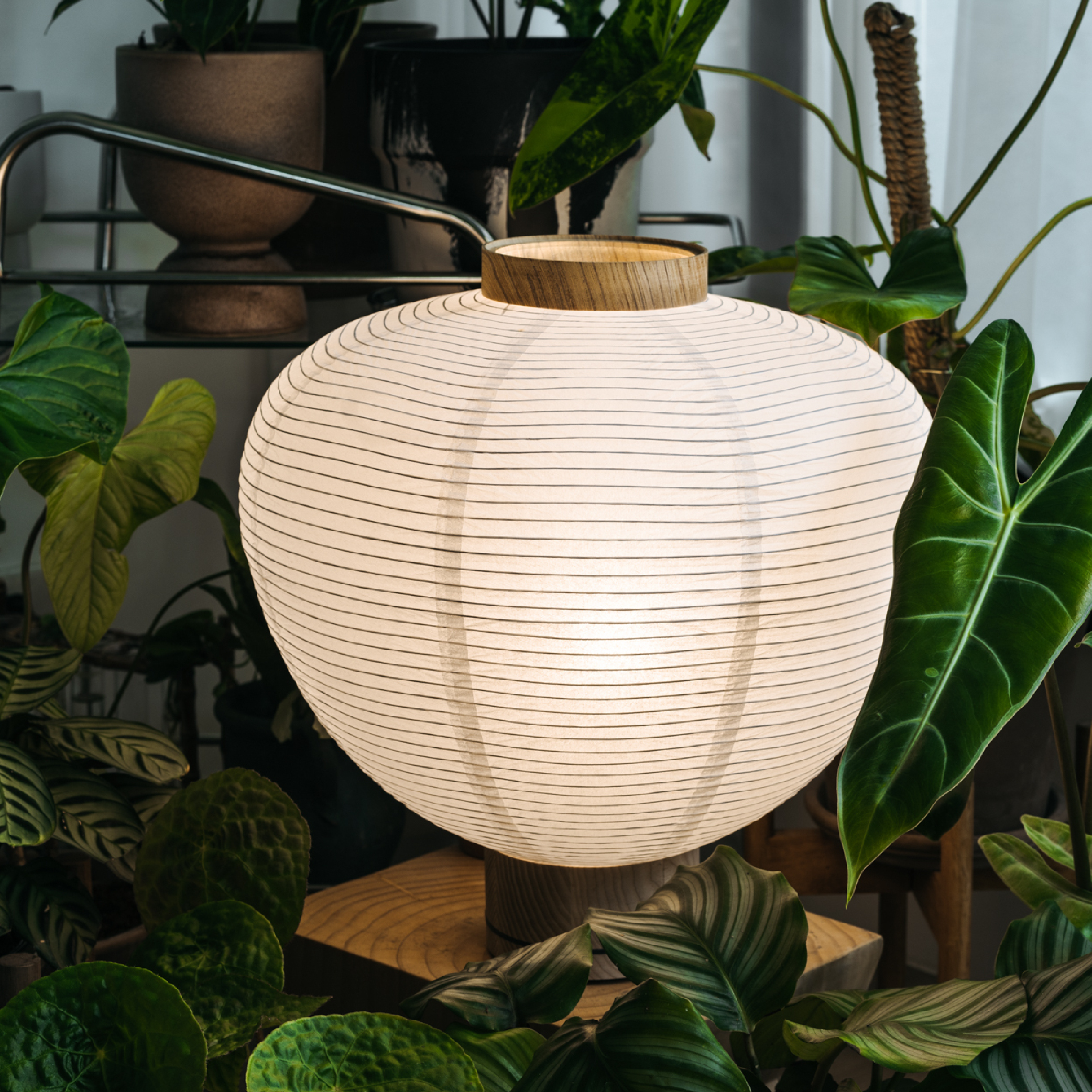 (預購) 紙飯糰 / 桌燈 by KIMU