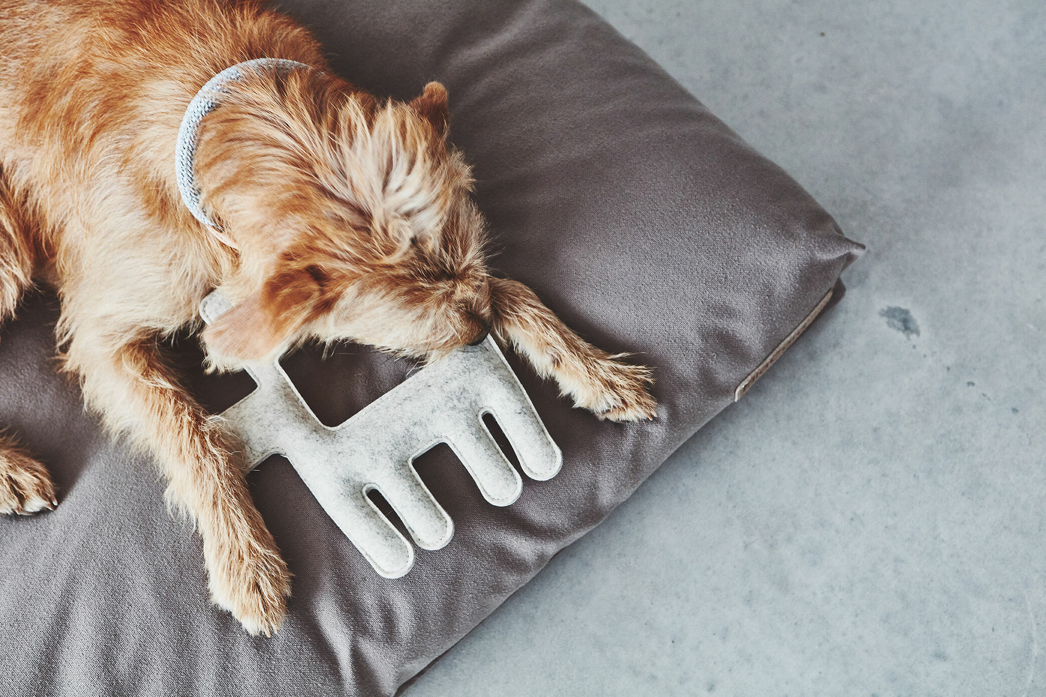 德國MiaCara Bosco毛氈玩偶