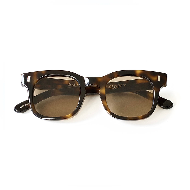 Buddy Optical SUNY / L - BROWN TORT ［FLAT］