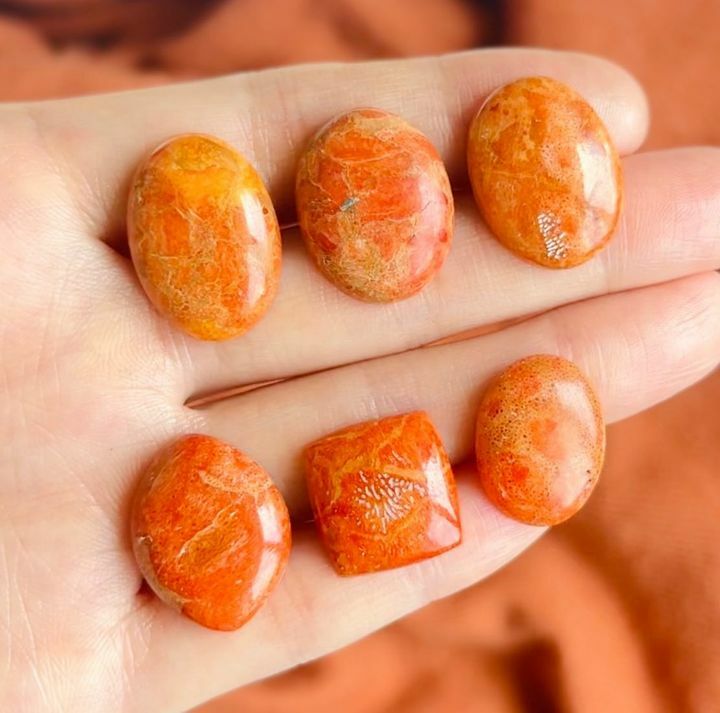 [原石] 莫哈維海綿珊瑚 水晶蛋面