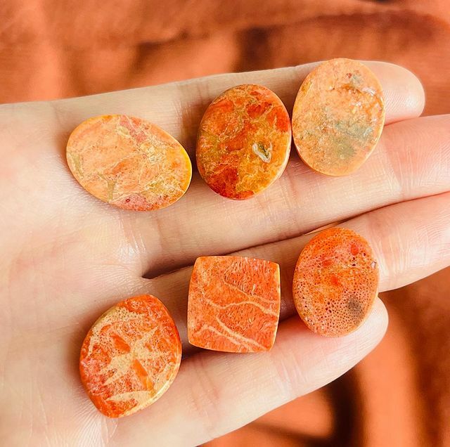 [原石] 莫哈維海綿珊瑚 水晶蛋面