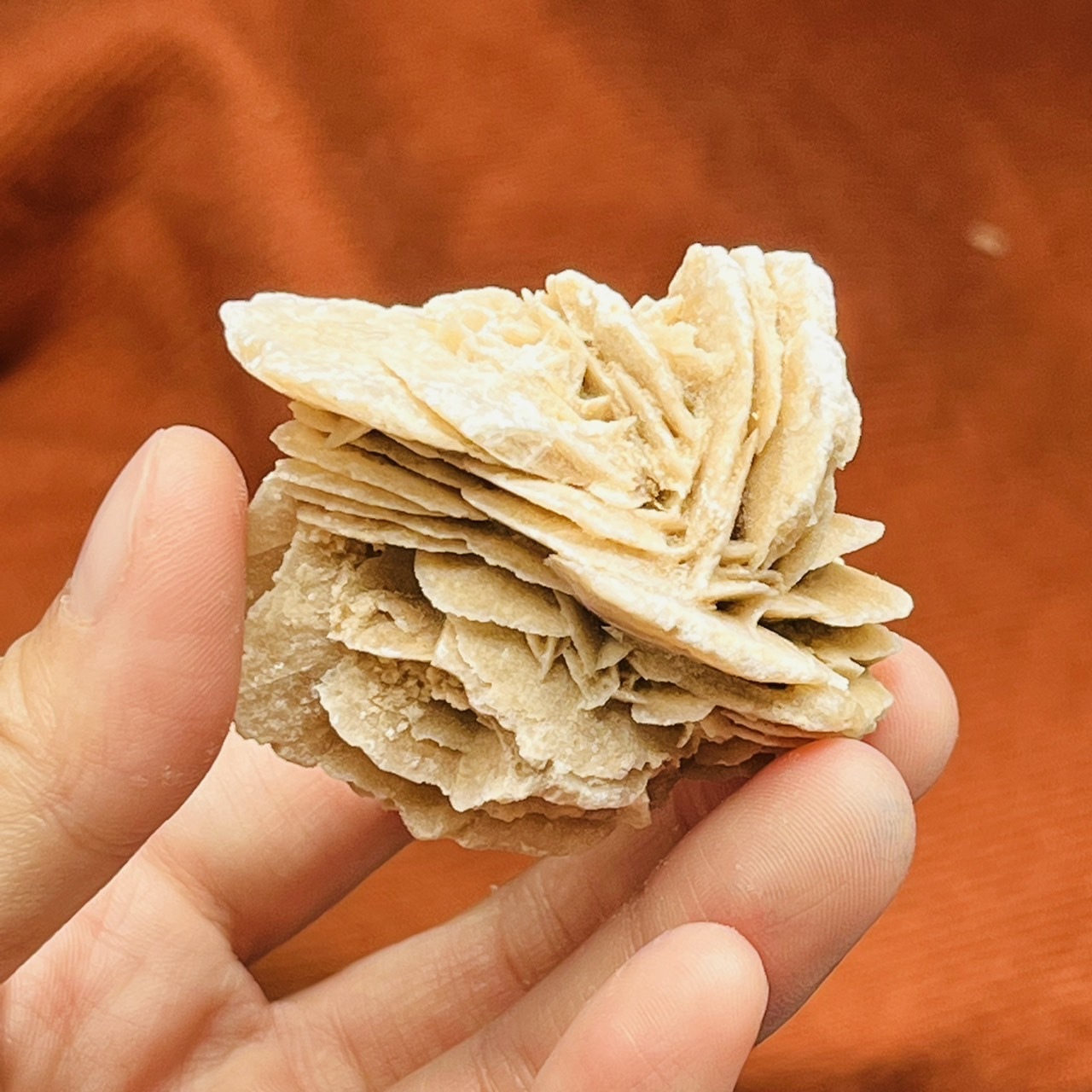 [原石] 沙漠玫瑰石 原礦