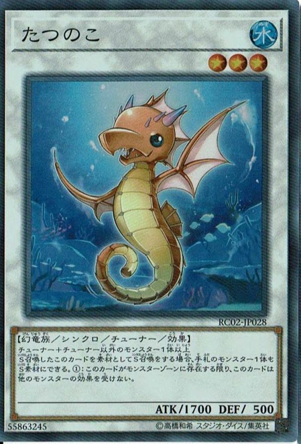 RC02-JP028 たつのこ