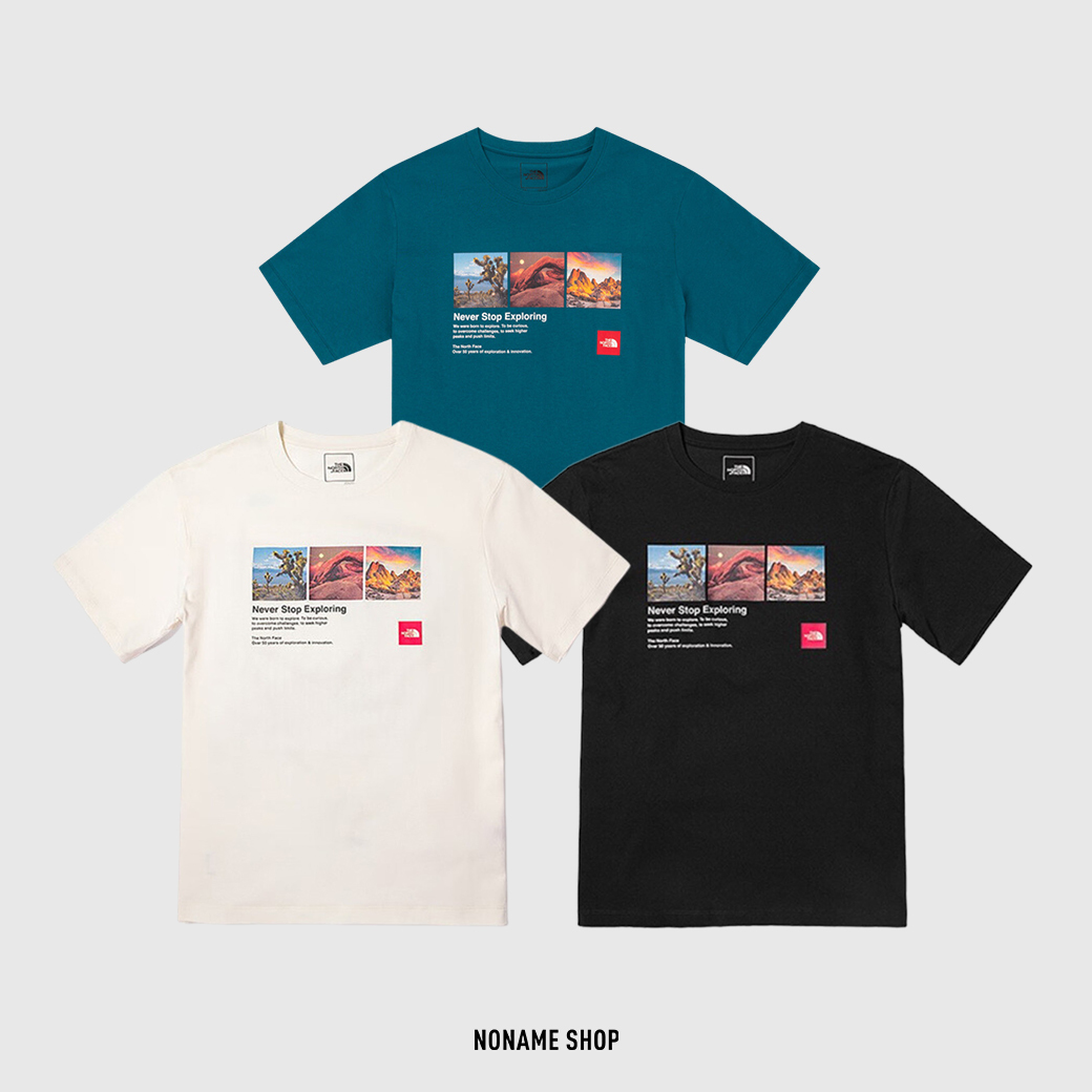 THE NORTH FACE 北臉 復古 風景 圖片 短T 三色 (男款)