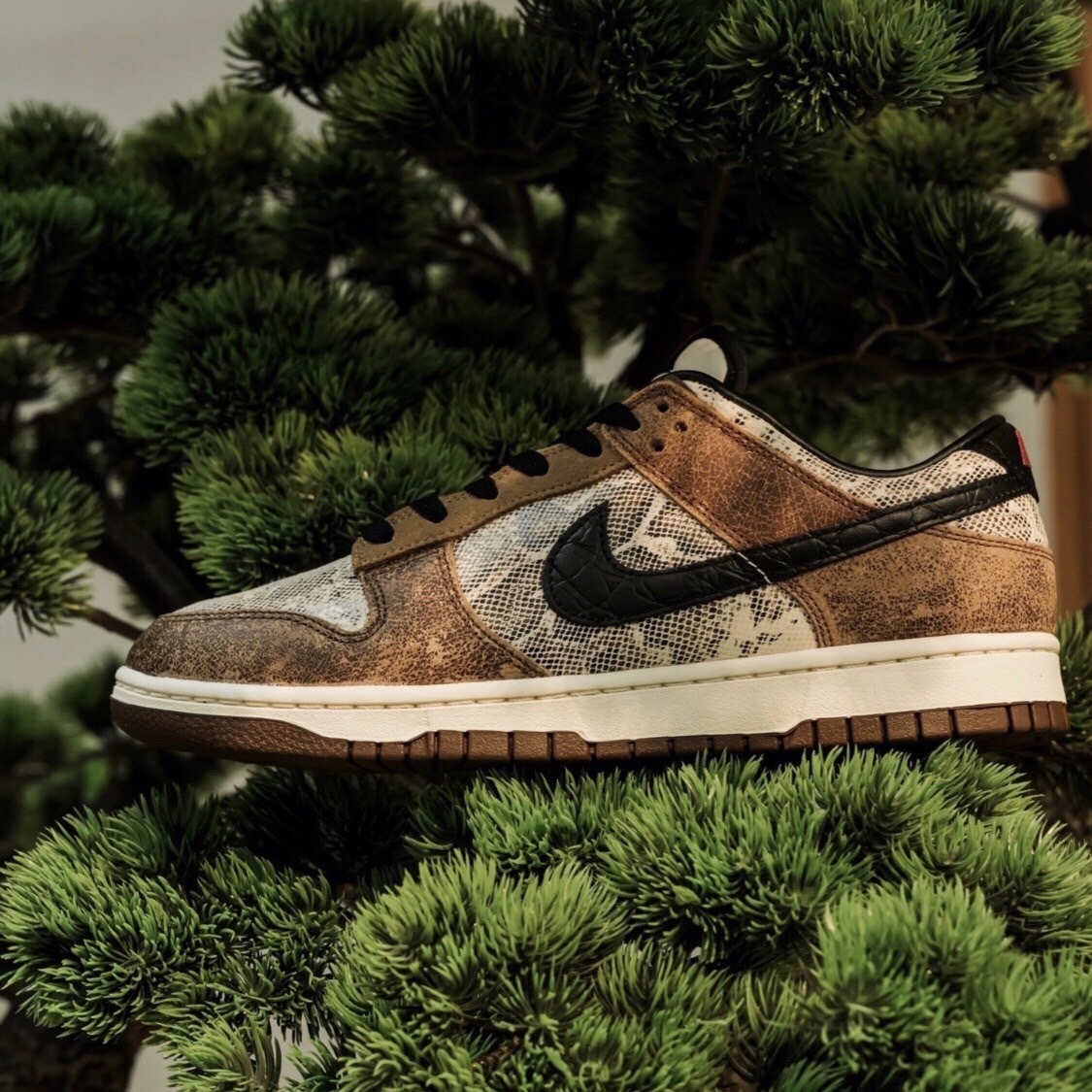 APAIR】預購Nike Dunk Low PRM 