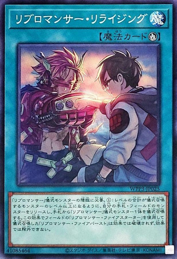 WPP3-JP025 リブロマンサー・リライジング