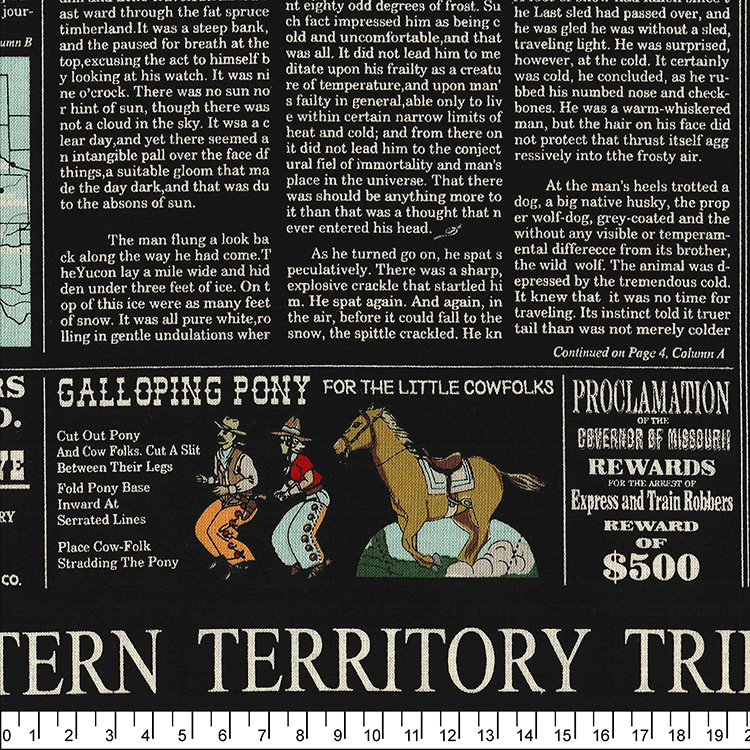 進口棉布R2302-126(一尺)