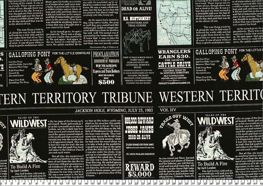 進口棉布R2302-126(一尺)