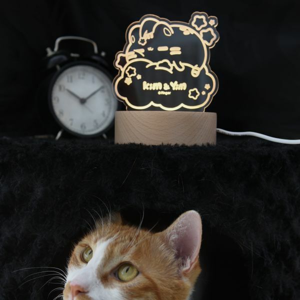 金銀喵晚安夜燈