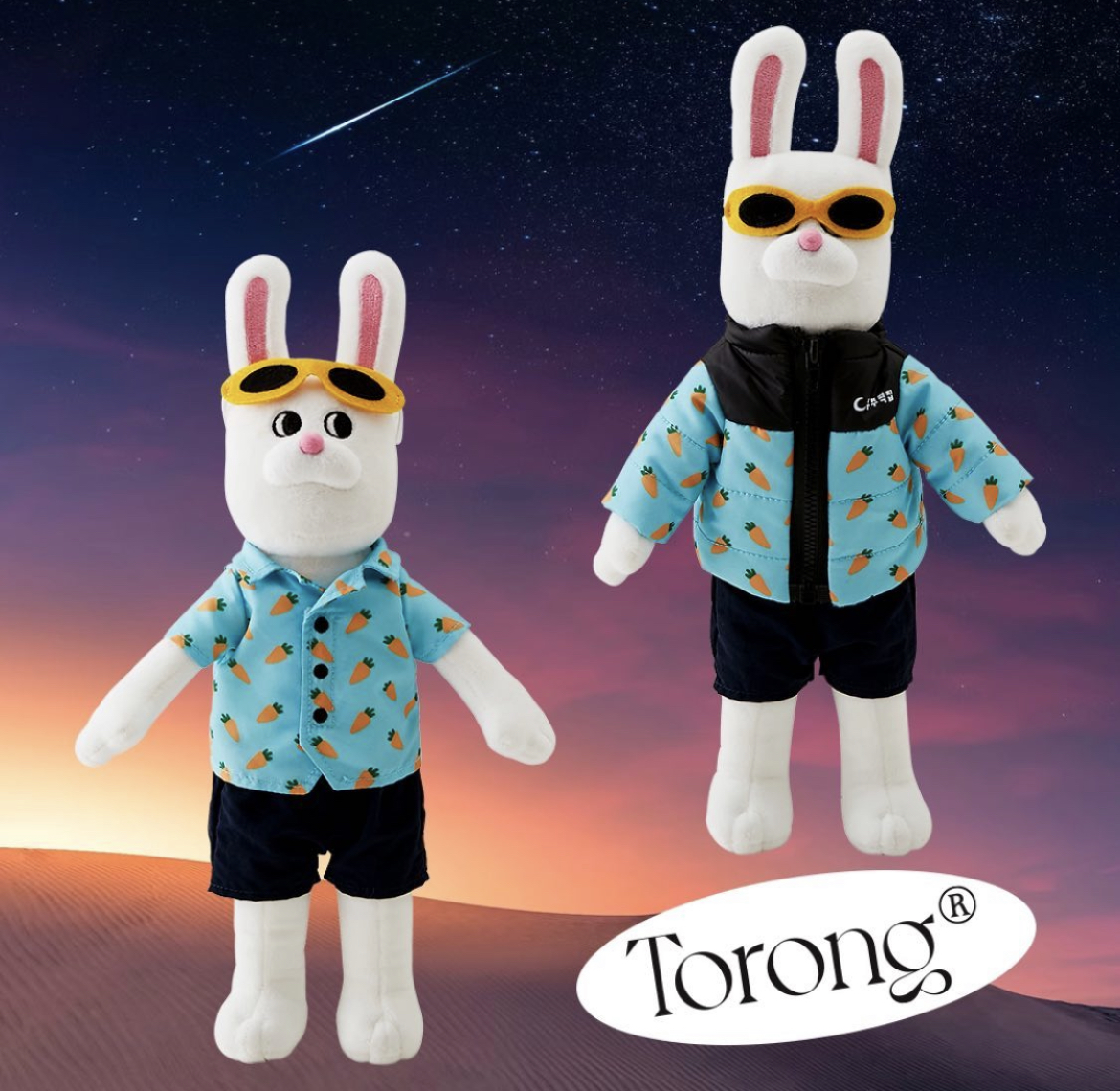 Biong Biong 地球娛樂室 - torong 兔瓏公仔