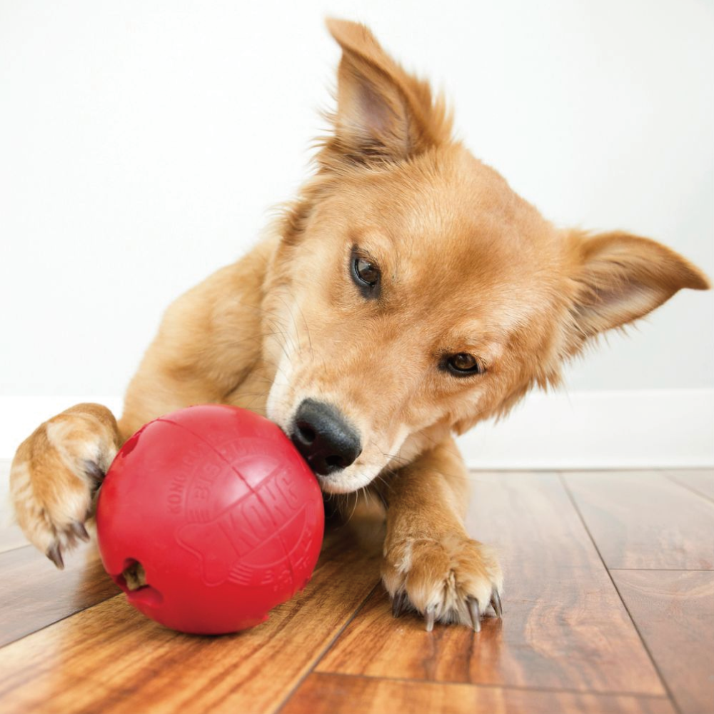 KONG | 抗憂鬱益智球