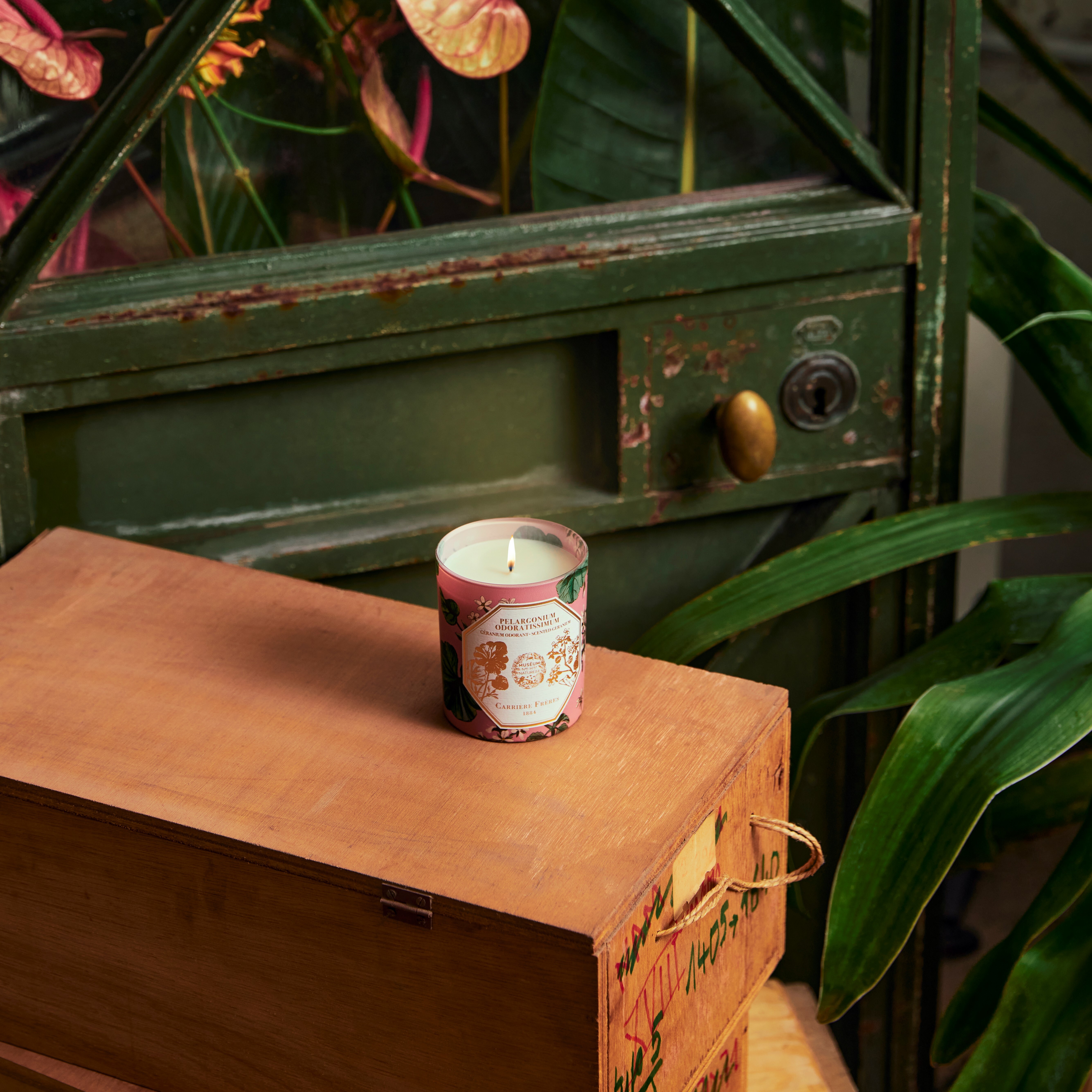 Carrière Frères 博物館系列 天竺葵香氛蠟燭