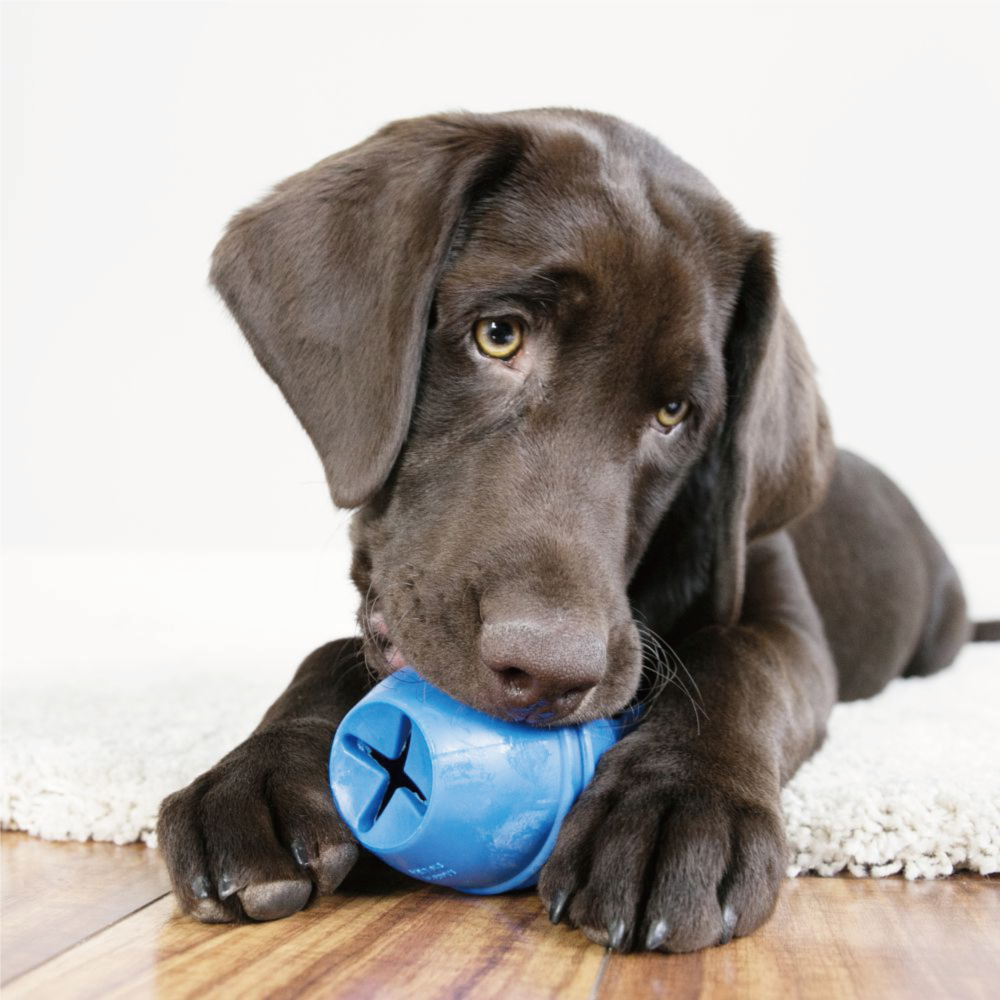 KONG | 天才益智保齡球/天才益智三節棍