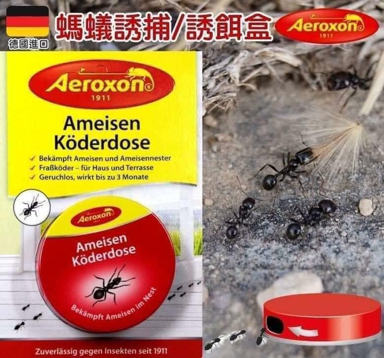 德國Aeroxon發明螞蟻無臭誘餌盒