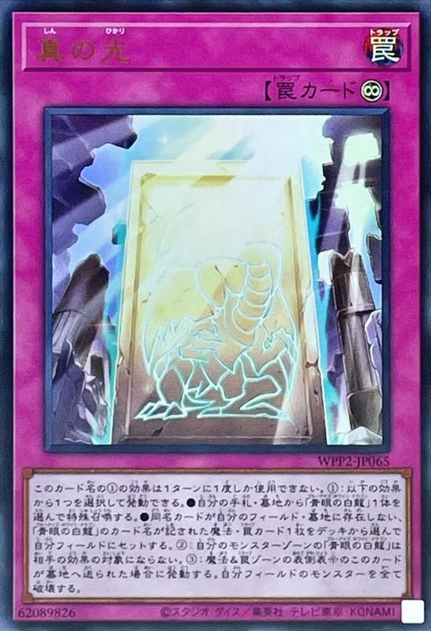 WPP2-JP065 真の光