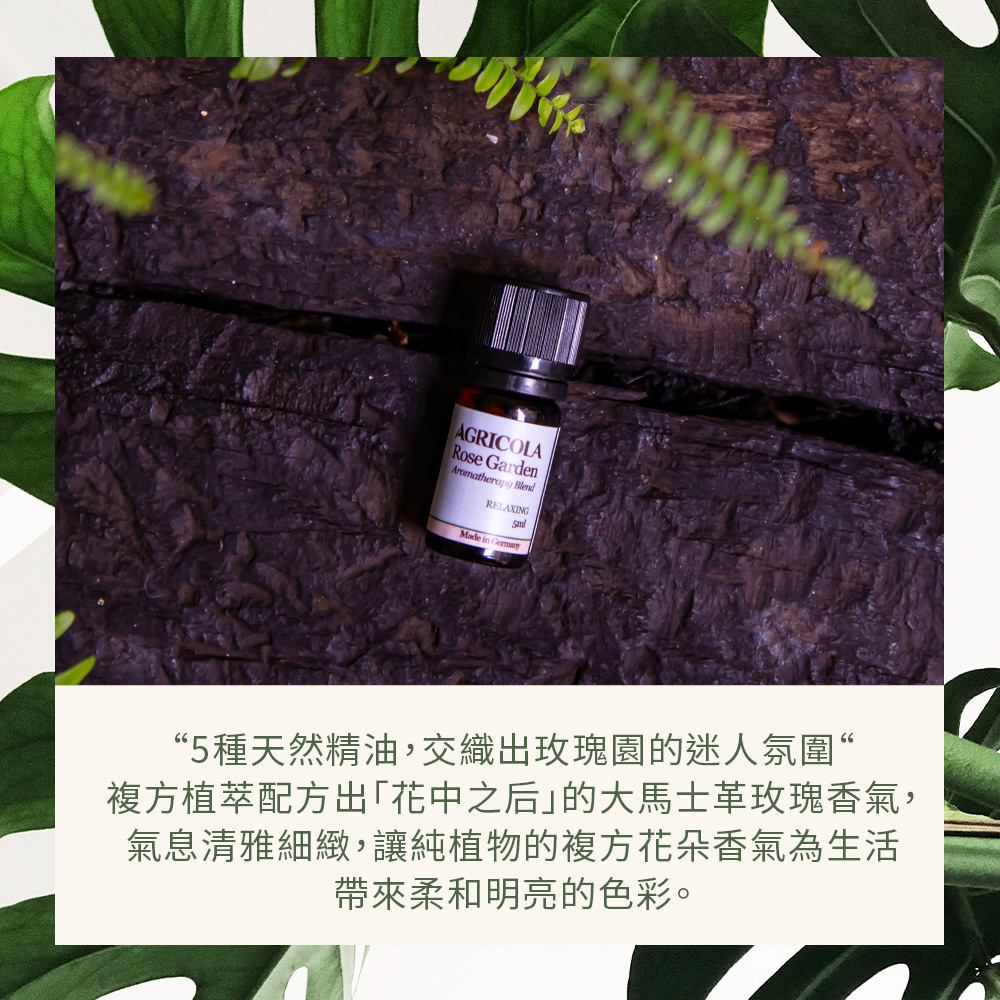 玫瑰花園5ml迷你瓶