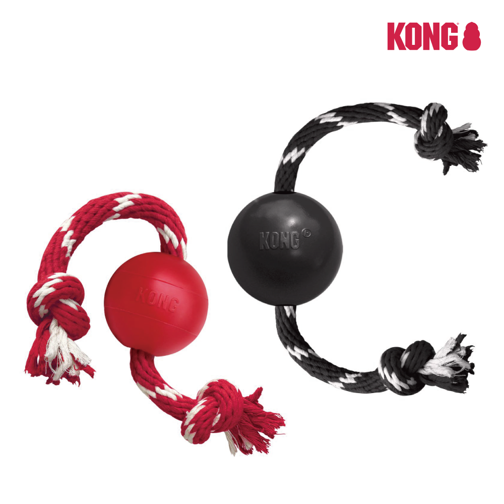 KONG | 帶繩拉扯紅球