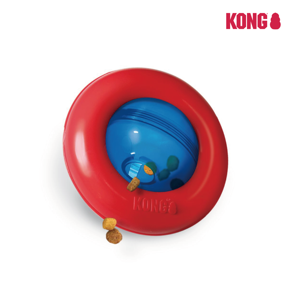 KONG | 羅盤玩具