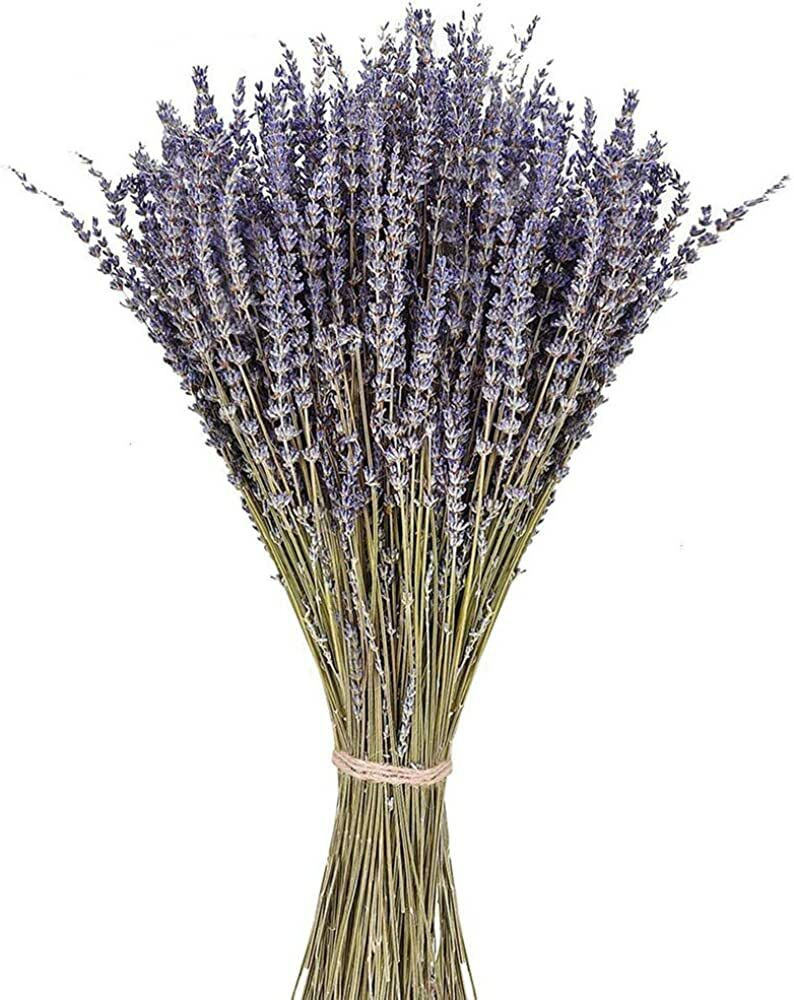 法國乾燥薰衣草