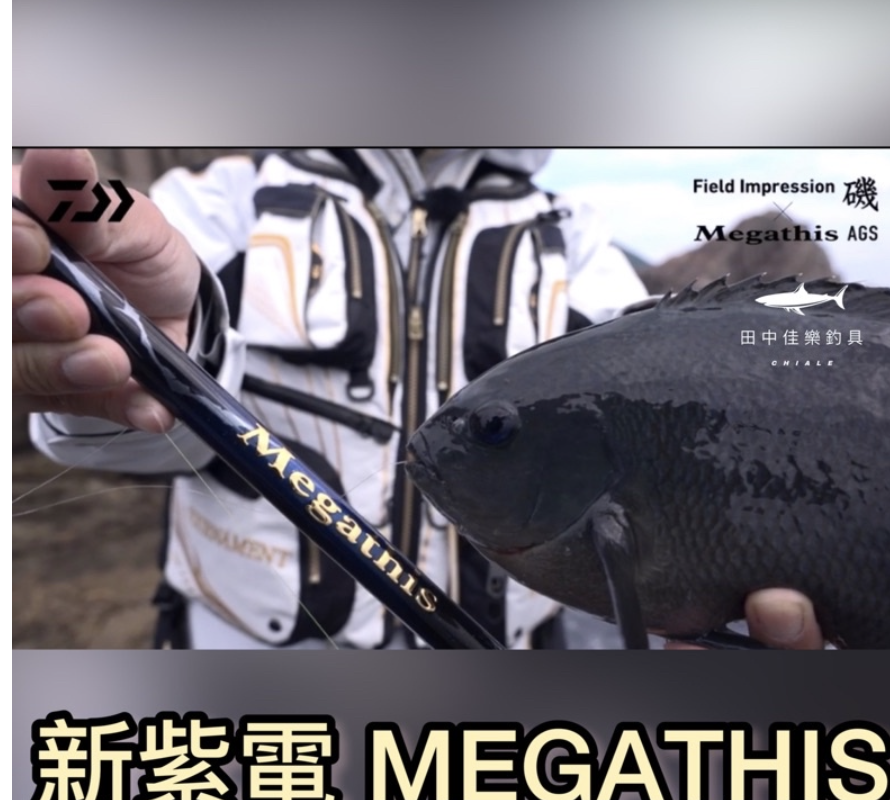 Daiwa 21年Megathis AGS 磯釣竿紫電磯釣竿 Daiwa 21年Megathis AGS 磯釣竿紫電磯釣竿