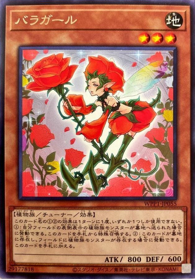 WPP1-JP055 バラガール