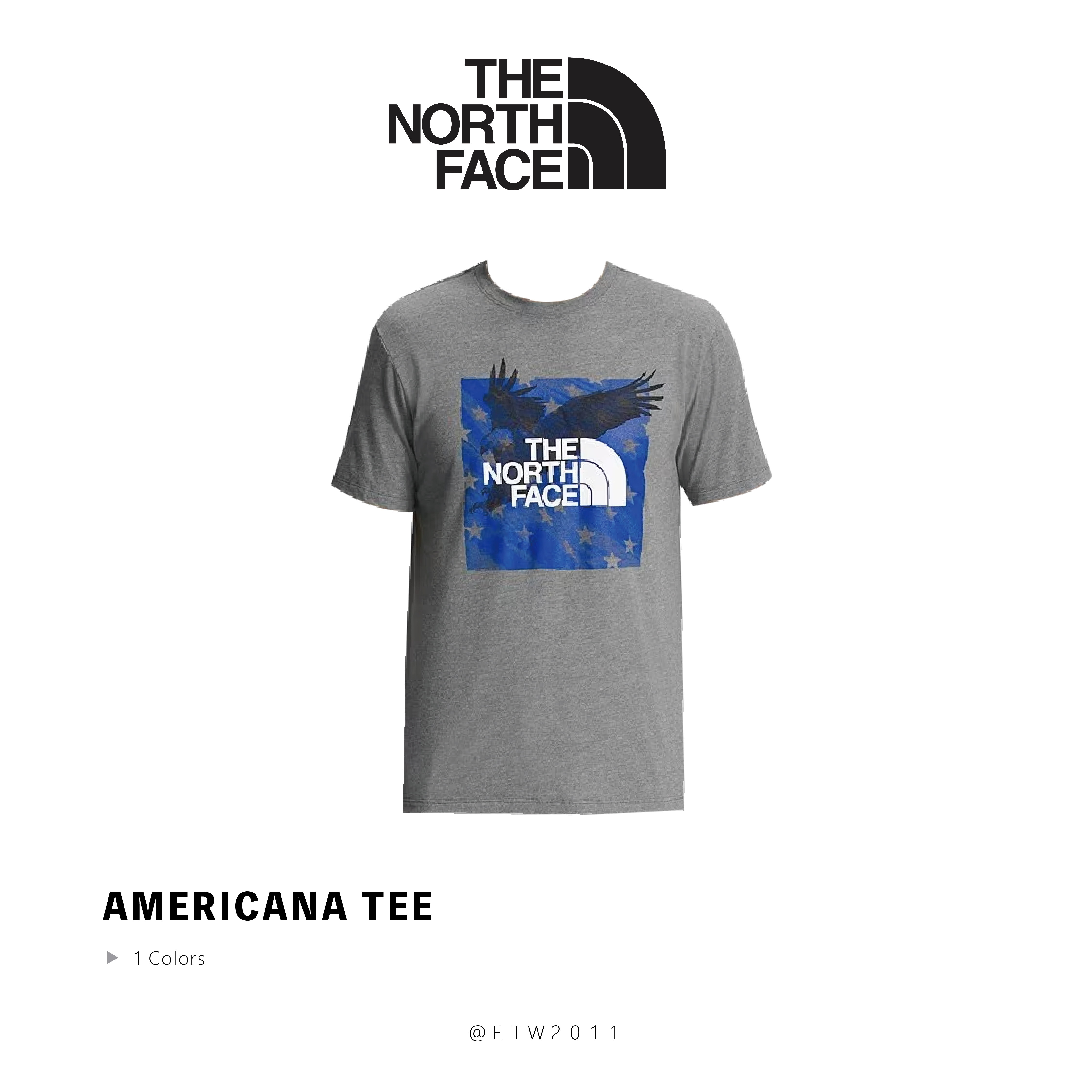 ☆ETW☆【EASY TO WEAR】The North Face Americana Tee 北臉 老鷹 短T