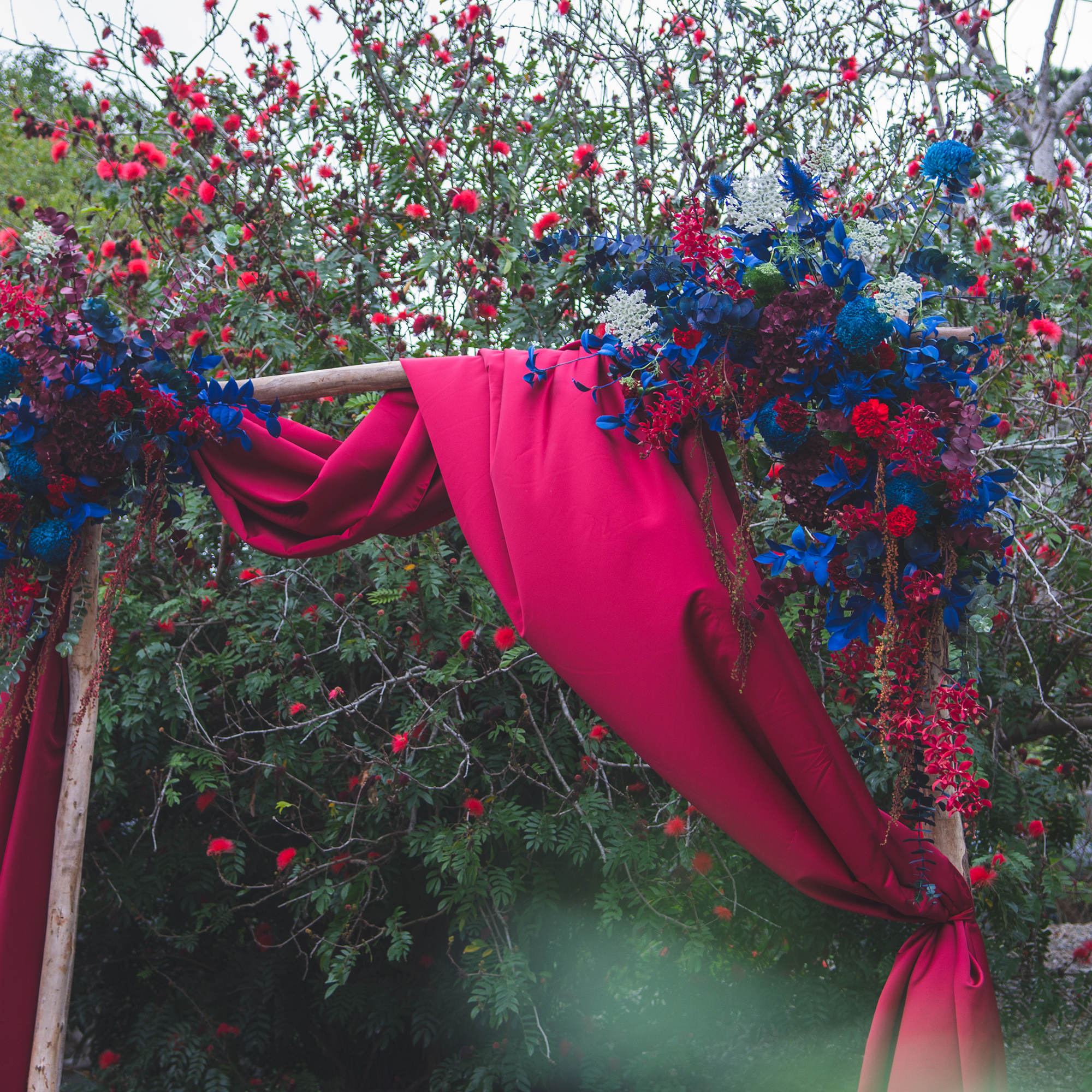 苗栗森大 紅藍 拱門 婚禮佈置