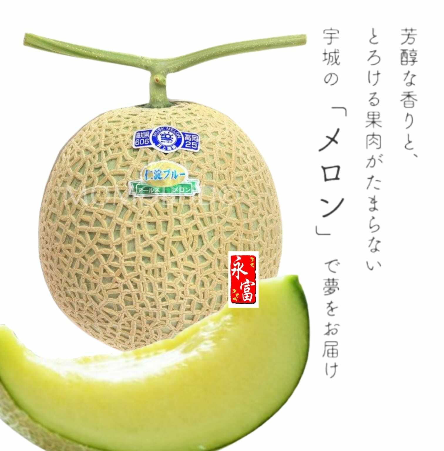 日本熊本縣亞魯斯蜜瓜