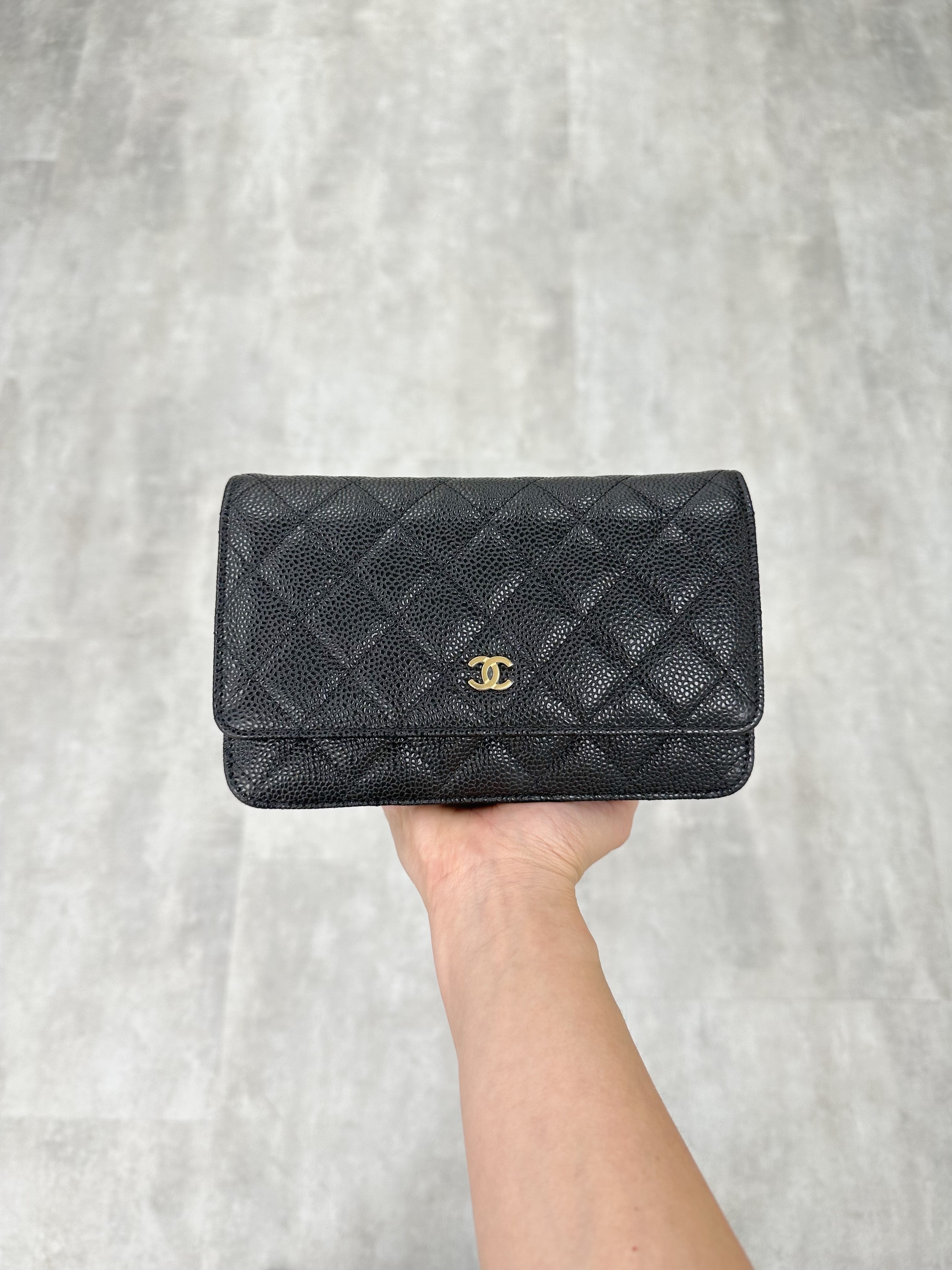 Chanel Classic Wallet On Chain (AP0250)