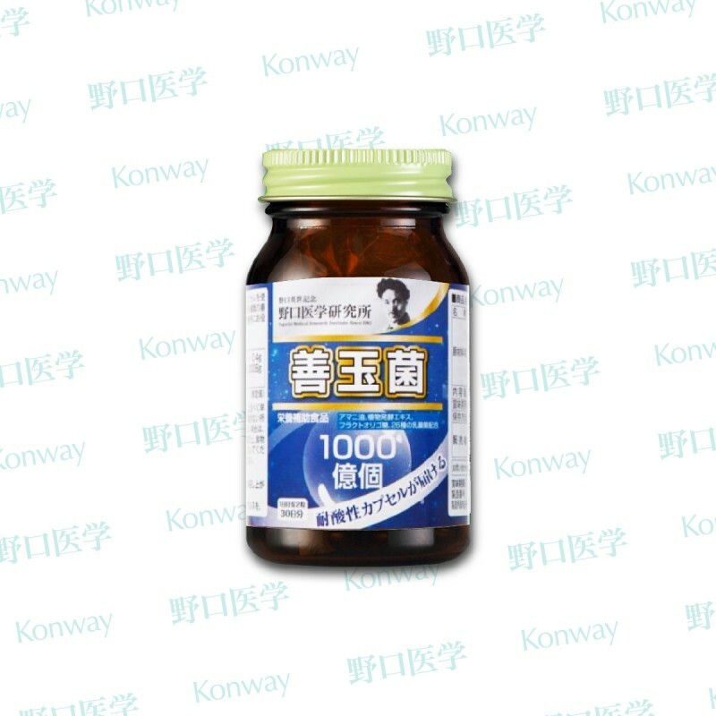 野口醫學研究所1000億高活性 善玉菌膠囊60粒【正品】保持腸道環境的健康 促進益菌生長 抑制害菌 益生菌安全直達腸道 不被胃酸分解