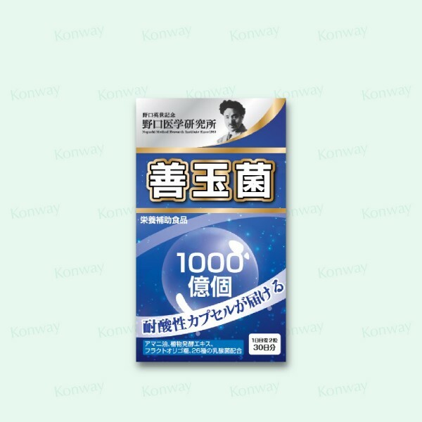 野口醫學研究所1000億高活性 善玉菌膠囊60粒【正品】保持腸道環境的健康 促進益菌生長 抑制害菌 益生菌安全直達腸道 不被胃酸分解