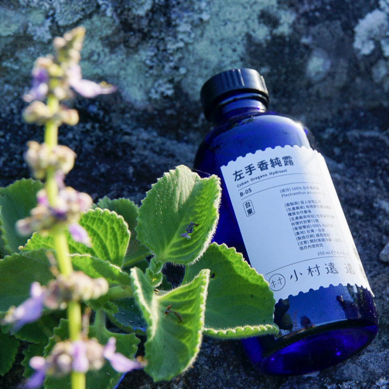 左手香純露｜台灣特色純露 (一年內即期良品) 500ml