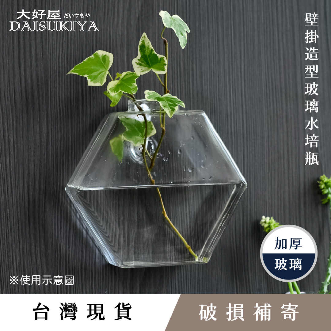 壁掛造型玻璃水培瓶