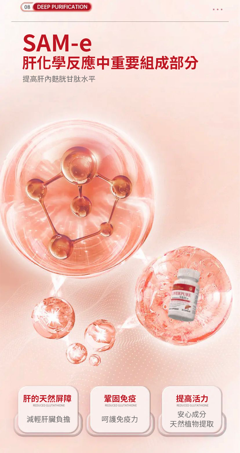 【 Spruce Nutrition 】四重配方 SAM-e 金裝護肝膠囊｜30 粒裝（美國原裝行貨）