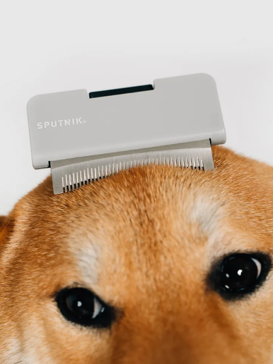 【SPUTNIK】COZY︱寵物梳