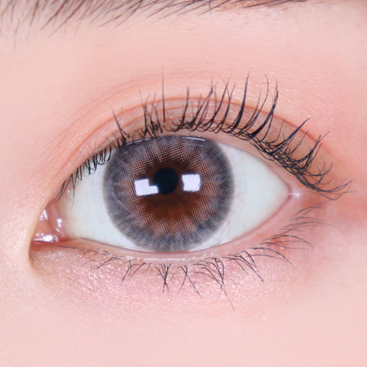 [月拋特薄][防UV] LENSSIS 1 Month HAVANA Cool Gray 月拋彩妝隱形眼鏡｜每盒2片